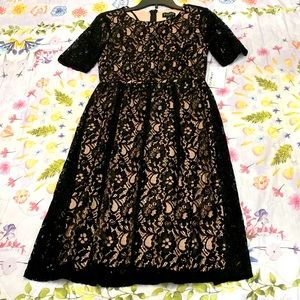 NWT Enfocus Studio Black Lace Overlay Dress